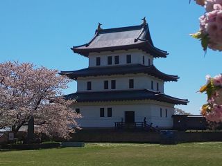 桜が満開の松前城