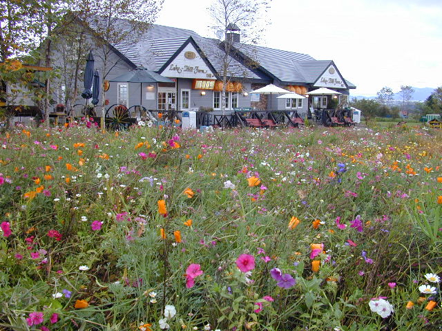 洞爺レイクヒルファーム