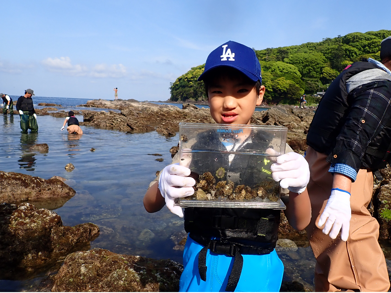 こんなにたくさん捕まえたよ。