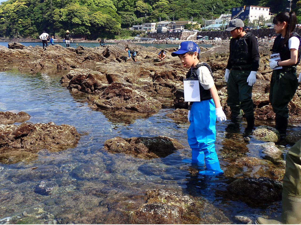 どんな生き物と会えるかな?探検開始!