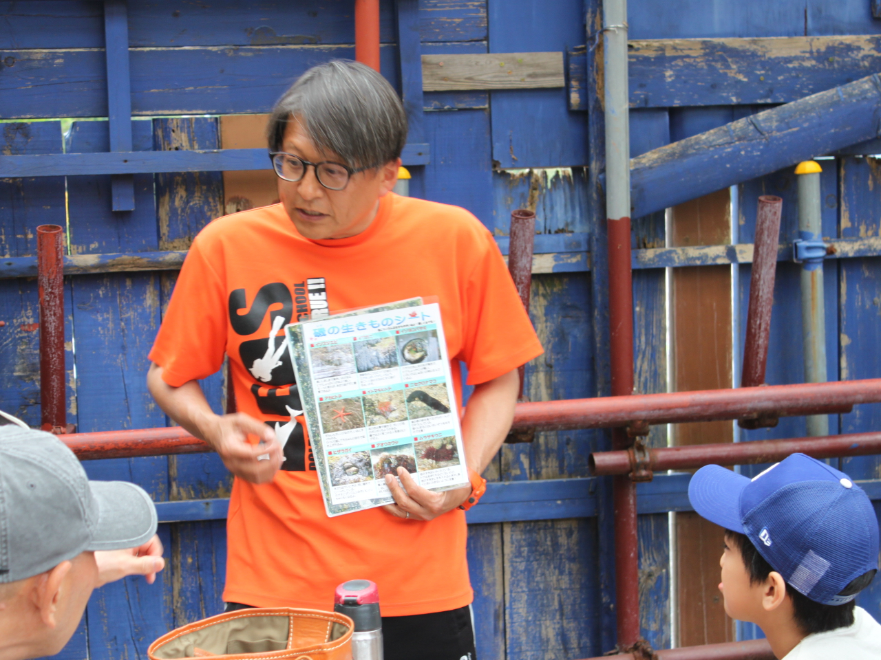 海に行く前に見ることができる生物や注意点を教えるよ。