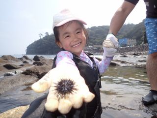 初めてのいそ遊びでも大丈夫!!最初はドキドキでも、ひざくらいの深さで色んな生き物と遊べるよ!