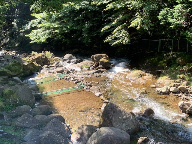 ▼希少 宮城県の渓流 釣り場 東京起点・日帰り1泊で楽しめる 東北の渓流 ③a Amazon.co.jp: 福島県の渓流 会津編: 東京起点日帰り1泊で