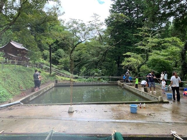お子様や初心者におすすめの釣り堀です。