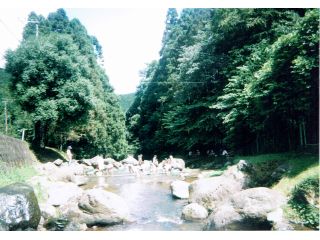 上流側から見た景観です。