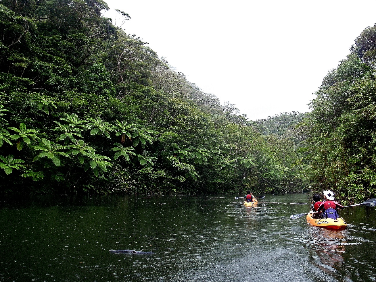 ジャングルクルーズではスコールに遇うことも!