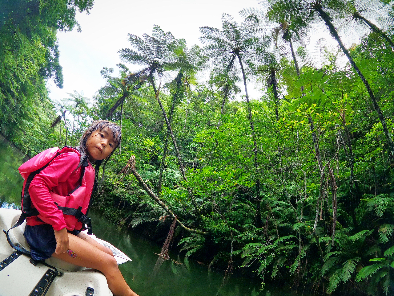 雨上がりの森もジャングルクルーズの醍醐味ですね。