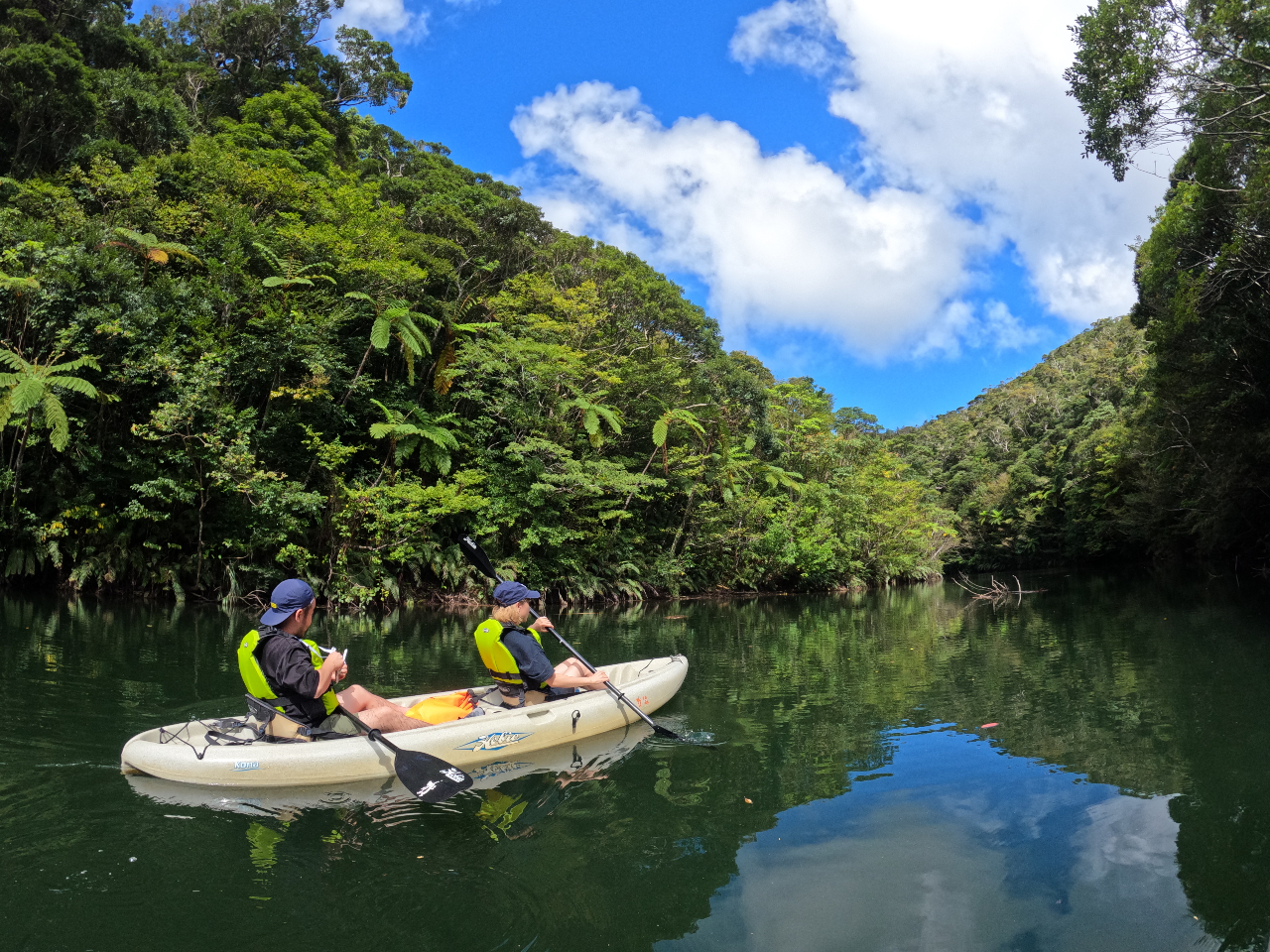 シダ植物の広がる湖面をジャングルクルーズで楽しみます。