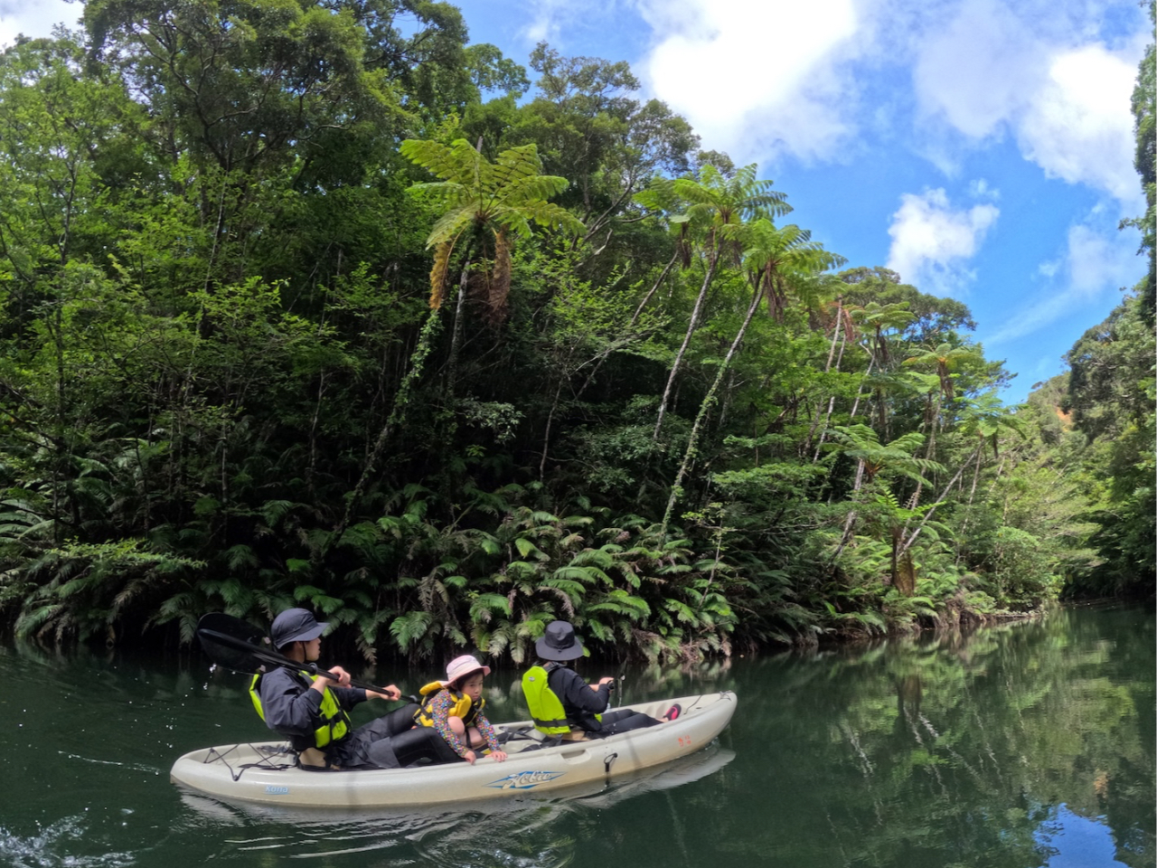 wN܂ł̂qlł΁AP̃JbNɐeq3ŏ邱Ƃ\łB