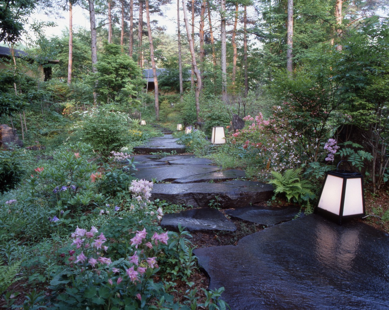 ԏꂩ猺ւɑΏBG߂ɂ͎R쑐Ă܂B