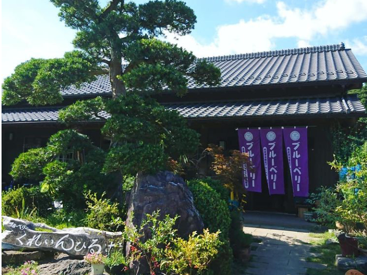 【木更津市・ブルーベリー狩り】農薬不使用