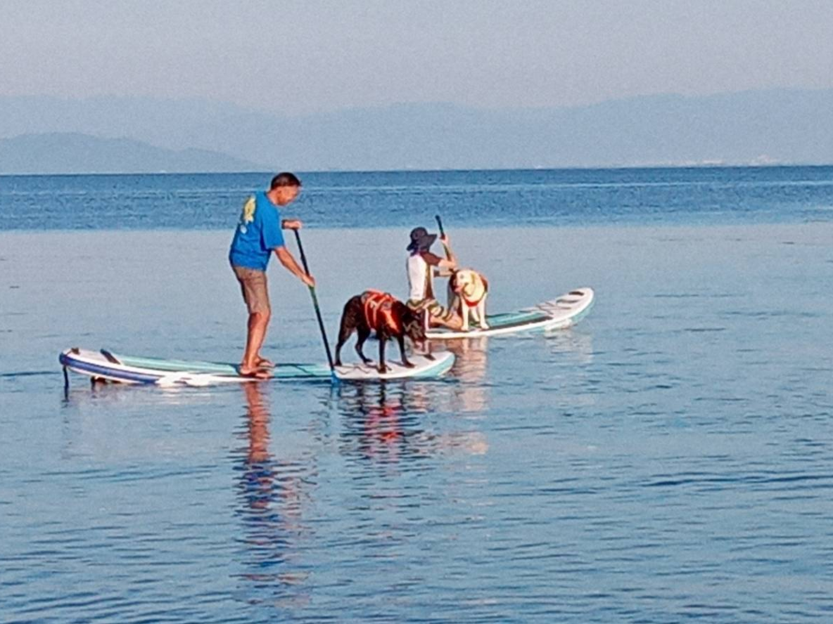 【SUP&ワンコSUP】1艇につき2名(1名+1匹)まで体験可能♪小学生以下のお子様やワンコの同乗は特別料金の+1,000円としています!