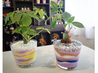 今注目のカラーサンドアート体験 色鮮やかな砂のアート Angelica じゃらん遊び体験 今注目のカラーサンドアート体験 色鮮やかな砂のアート Angelica じゃらん遊び体験