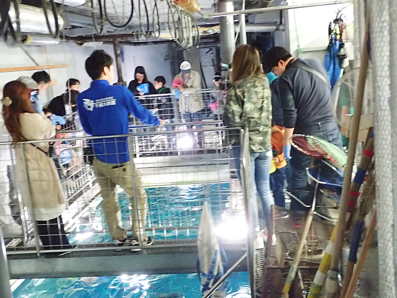 当日お昼まで受付 わくわくドキドキ 水族館の裏側探検 じゃらん限定割引プラン サケのふるさと千歳水族館 じゃらん遊び体験