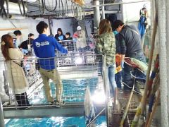 千歳市の観光スポットランキングtop10 じゃらんnet