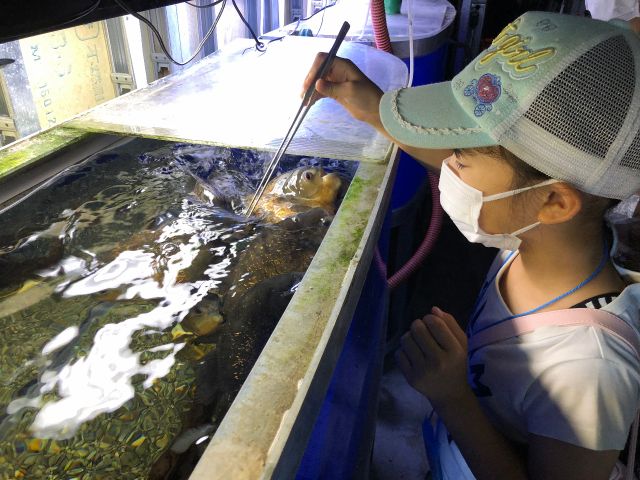 飼育係ちょこっと体験 入館券別売プラン サケのふるさと千歳水族館 じゃらん遊び体験 飼育係ちょこっと体験 入館券別売プラン サケのふるさと千歳水族館 じゃらん遊び体験