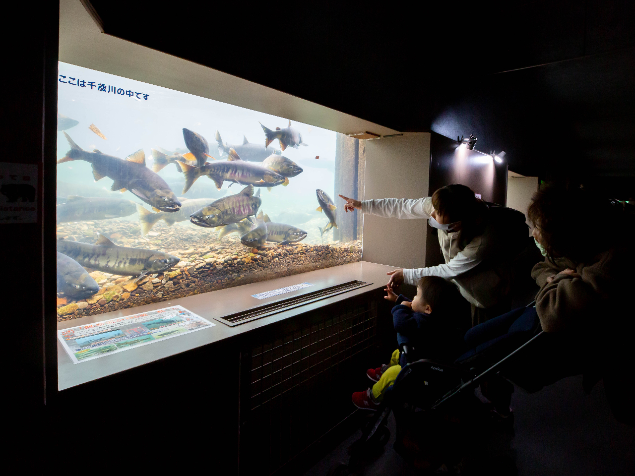 ΐ쐅ώ@][|Hɂ̓TP̑QI