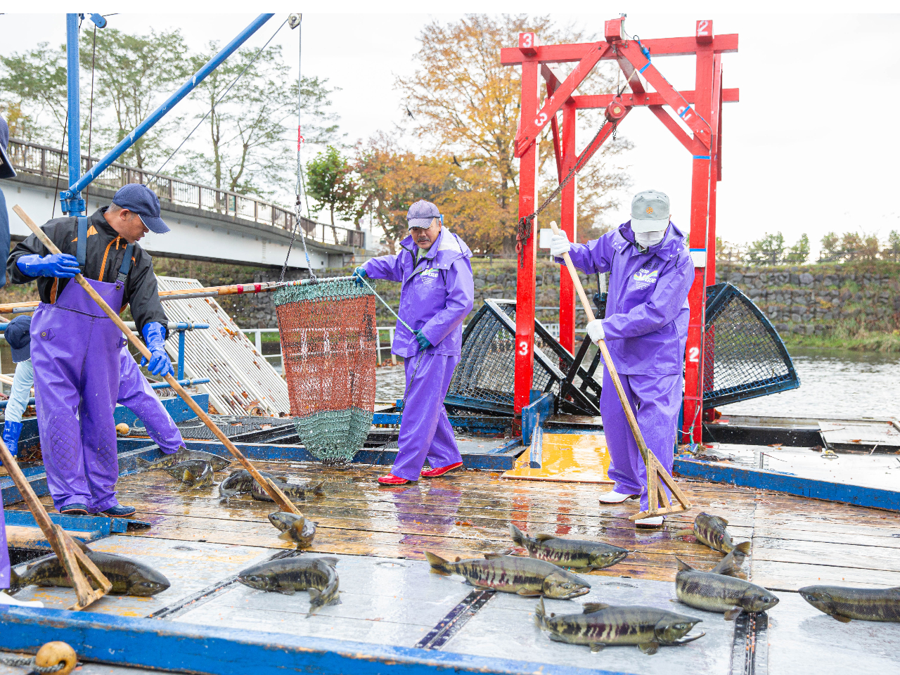 TPߊlCfBAԂאځi7{`12{j