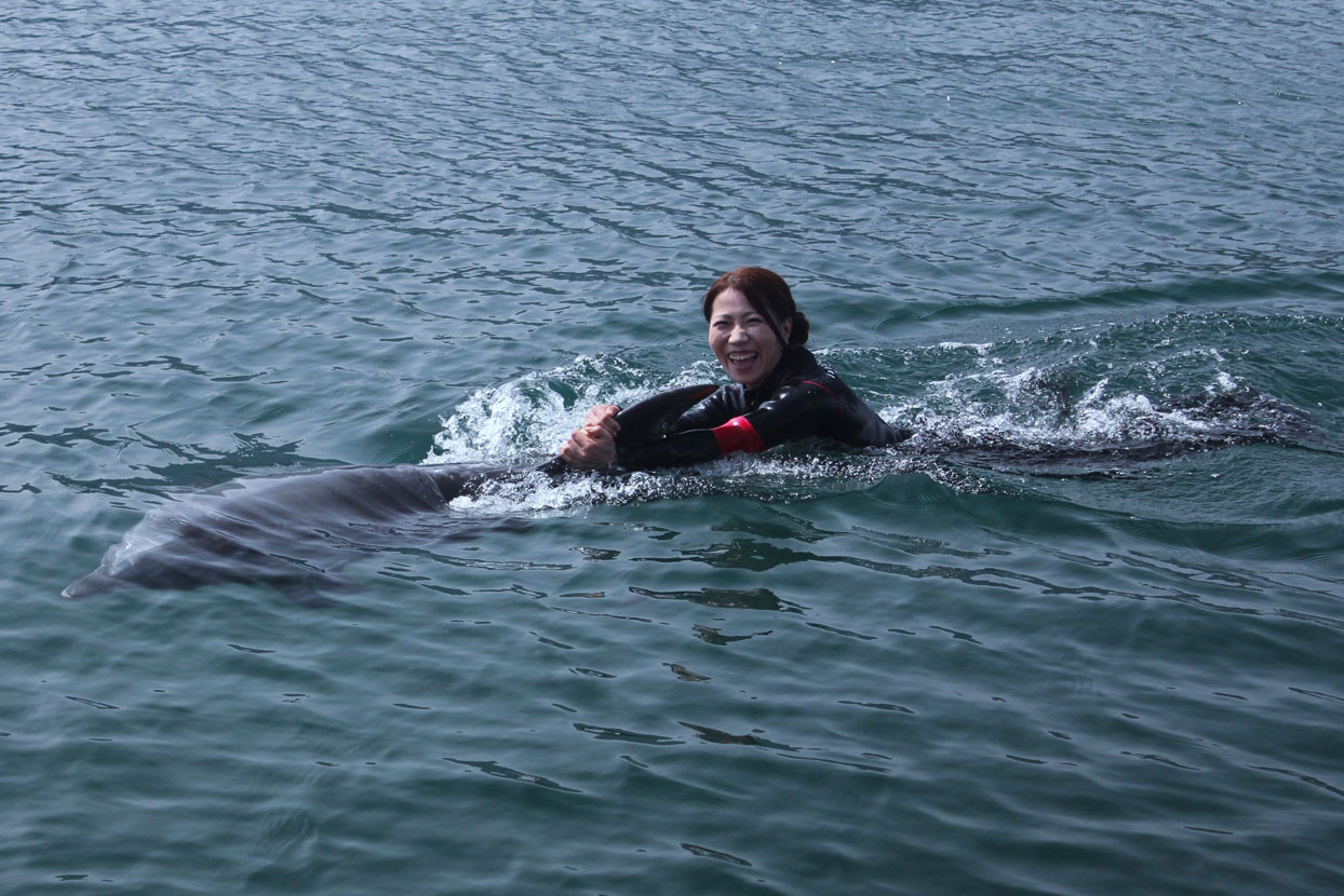 うみたま体験パーク つくみイルカ島 の口コミ一覧 じゃらんnet うみたま体験パーク つくみイルカ島 の口コミ一覧 じゃらんnet