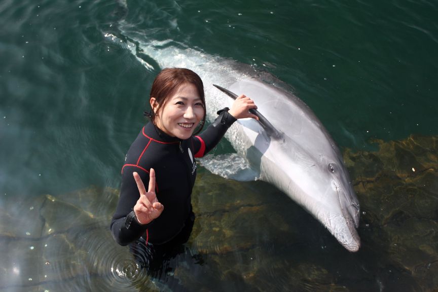 うみたま体験パークつくみイルカ島 イルカと泳ごう ふれあい体験 うみたま体験パーク つくみイルカ島 じゃらん遊び体験 うみたま体験パークつくみイルカ島 イルカと泳ごう ふれあい体験 うみたま体験パーク つくみイルカ島 じゃらん遊び体験