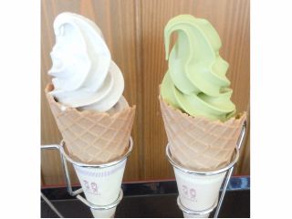 ほうじ茶ソフトクリームは、爽やかでほんのりとした甘味♪ 抹茶ソフトクリームは、 濃厚でクリーミーな味わい( *´艸`) どちらにしようかな?