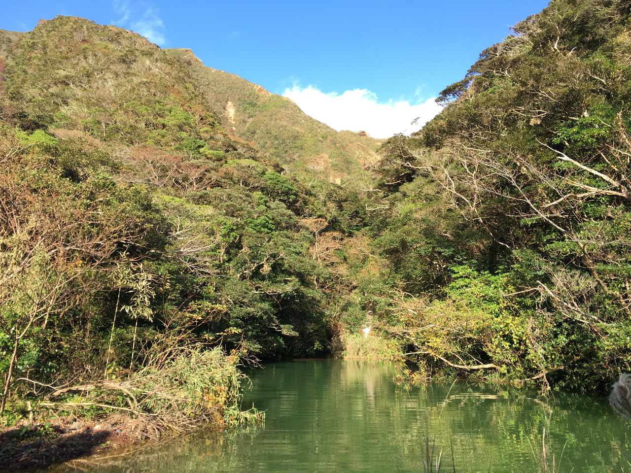 �ΐF�̓�������܂��B