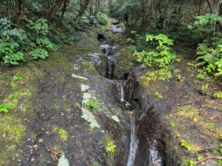 八丈町の天然記念物の甌穴群