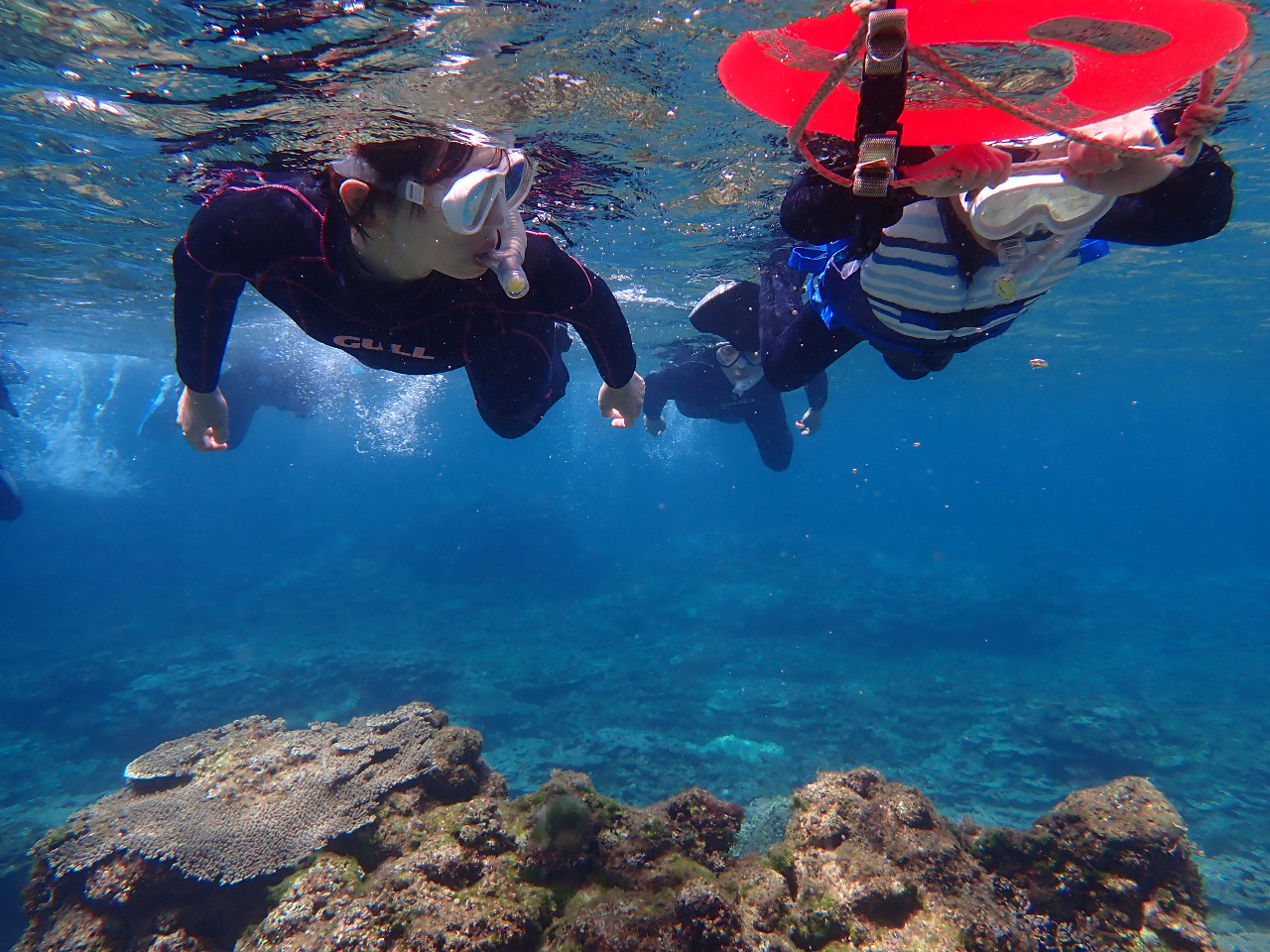 ���킢�������������ɂ������I