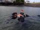 まずは穏やかな海でしっかり練習!
