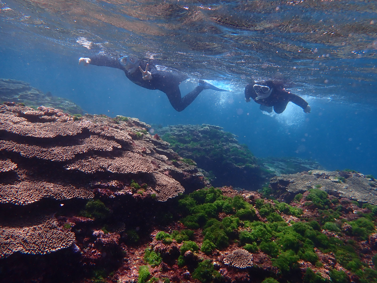 �T���S���L����G���A�ցI