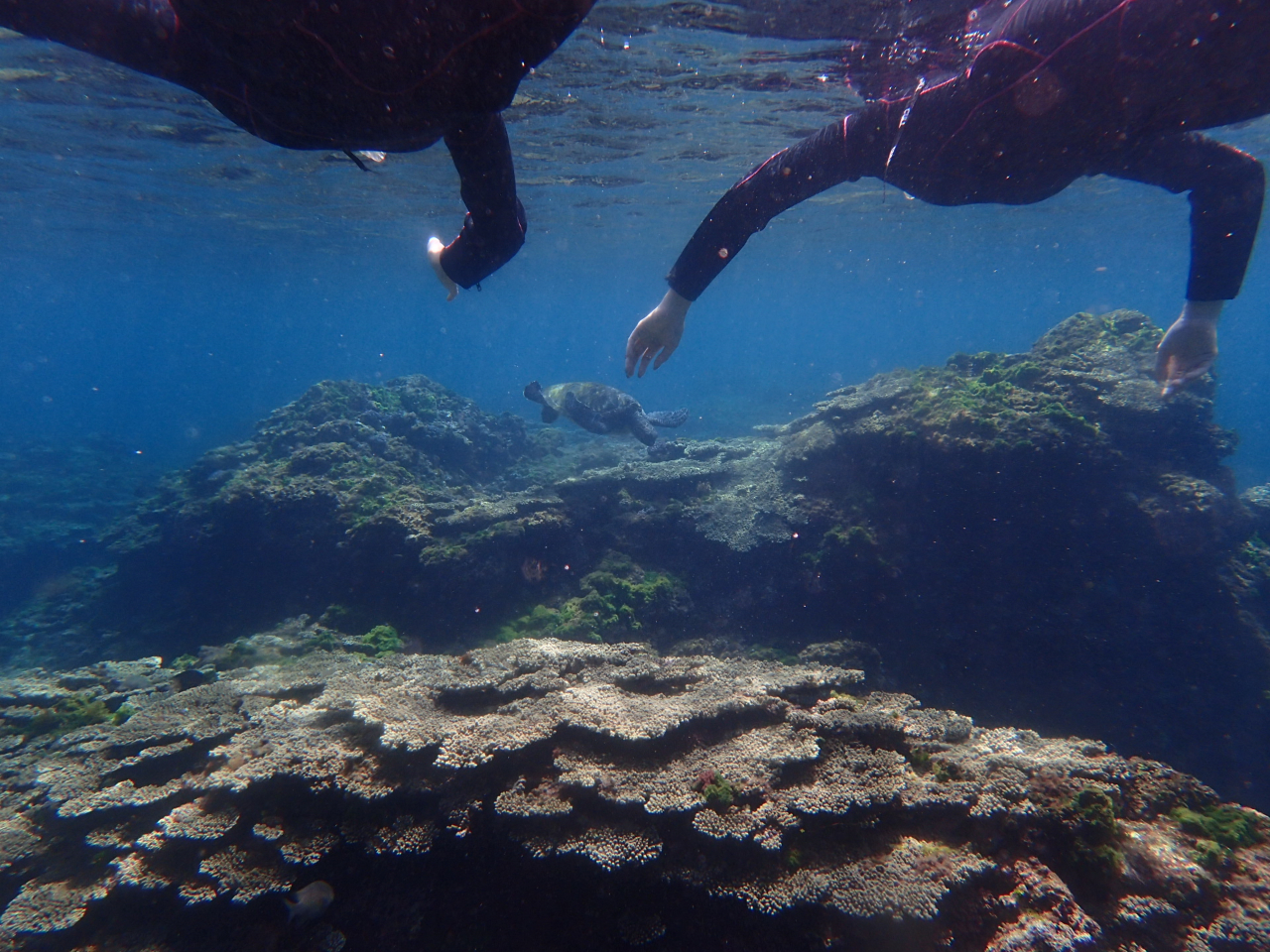 �������Ȃ��悤�ɂ����Ɗώ@���悤