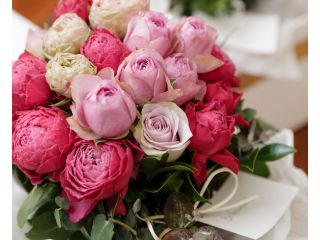 写真はイメージです。