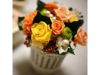 写真はイメージです。