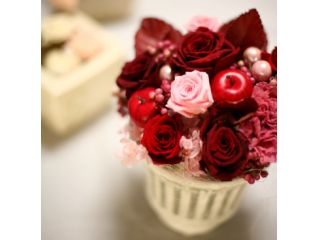 写真はイメージです。