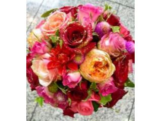 写真はイメージです。