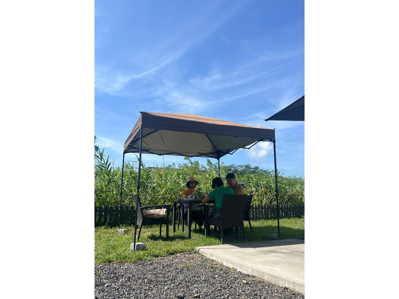 お天気の良い日は、風が吹いて気持ち良いお庭やテラスで開催しています。