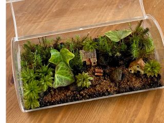 瓶の中に石を配置し、軽井沢の苔庭をつくりましょう!