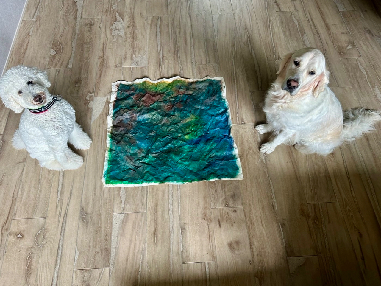 zΑfGȃCeAA[gɁIRȃTCYɃJbgł܂B