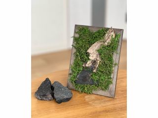 枯れない加工をした苔(ドライモス、プリザーブドモス等)、浅間石、流木を使用したアートフレーム