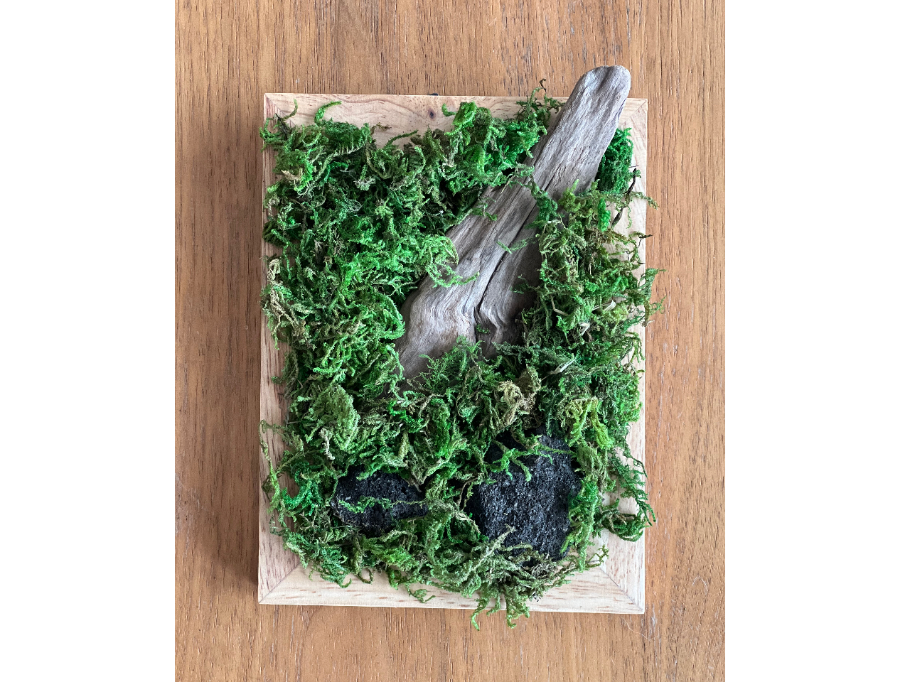 ͂ȂHہAԐ΁A؂ȂǎRfނgA[gɒI