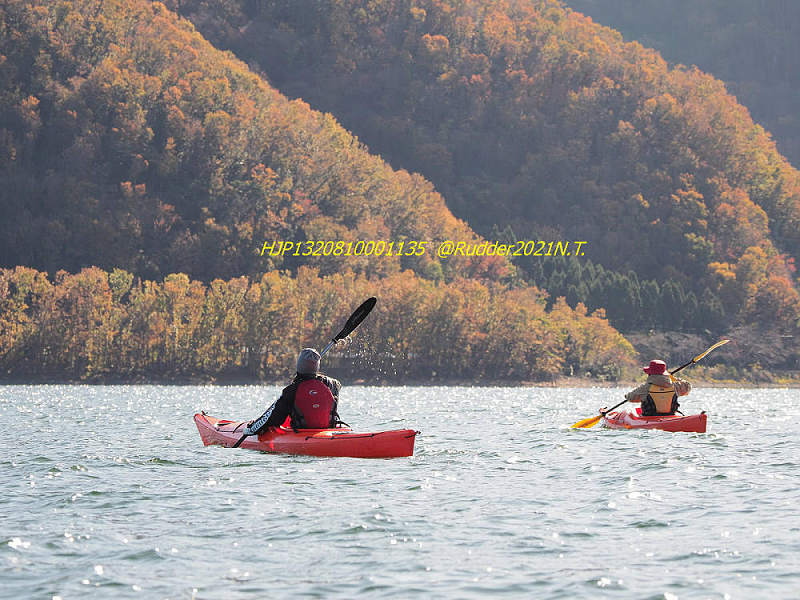 H̍gtԂ͈Ŋ̌iFɏ荇܂