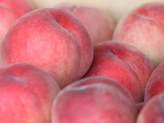 テーブル着席で冷えた桃を30分間食べ放題!※収穫は出来ません