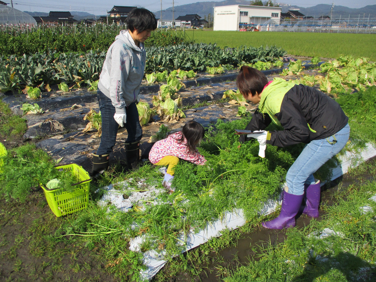 ���n�̌��̗l�q�ł��B���̎q���l�Q�𔲂��Ă��܂���(^o^)�B