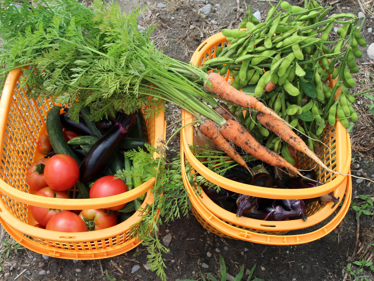 �Ƃ����ǁ`���I