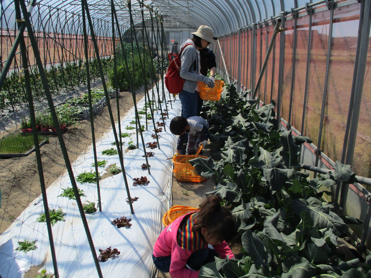 �Ƒ��A��̕��ɐl�C�ł��B