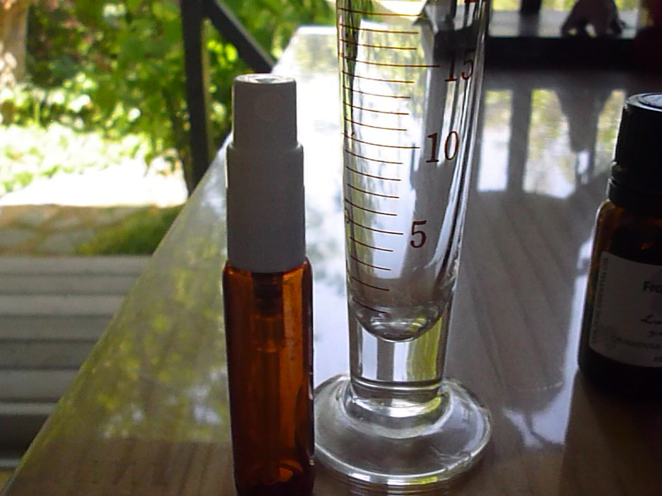 レモングラスの虫除けスプレー フレグランスノート じゃらん遊び体験 レモングラスの虫除けスプレー フレグランスノート じゃらん遊び体験