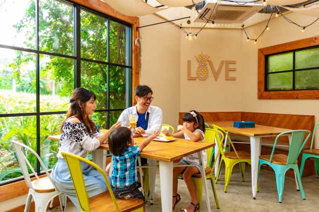 ȃpCibvJtFŐHׂpCibvXEB[c͐iI