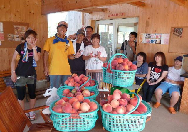 ★夏の果物もも狩り★津軽の自然で育った優しい甘さのもも♪子供から大人までお楽しみ...