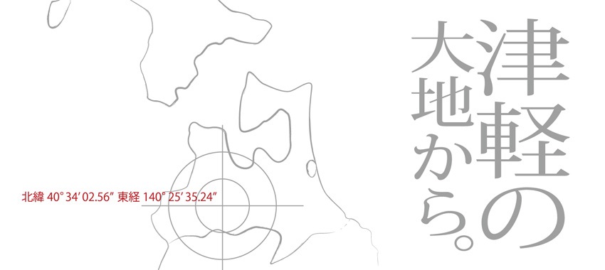 ★夏の果物ブルーベリー狩り★津軽の自然がはぐくむ大粒で甘いブルーベリー!1時間食...