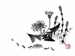 白 と 黒 で生み出す幻想的なアート 水墨画を体験しよう Gaccoh じゃらん遊び体験 白 と 黒 で生み出す幻想的なアート 水墨画を体験しよう Gaccoh じゃらん遊び体験